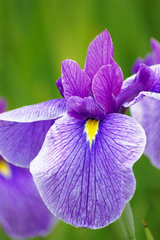 7c73487f.jpg