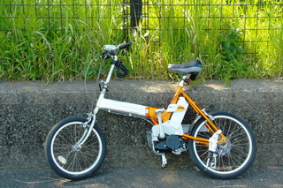 843c9559.jpg