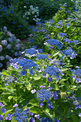 91a04163.jpg