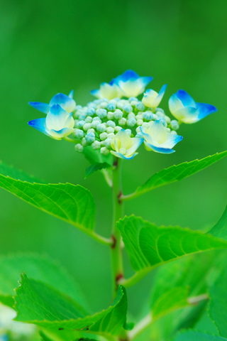 f7633196.jpg