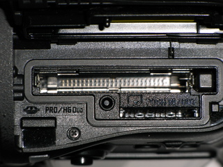 f7fa2004.jpg