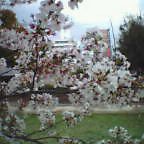 20050413_1410_000.jpg