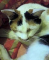 0659447f.jpg