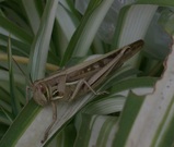 fa03d626.jpg