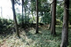 DSC01493