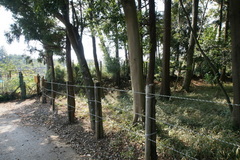 DSC01492