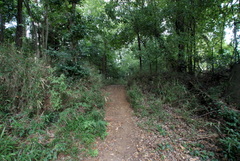 DSC04441