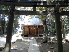 DSC00835