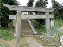 DSC00849