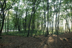 DSC00909b