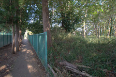 DSC01505