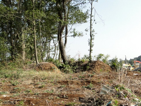 DSC01096-1