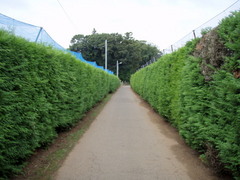 P8300010