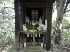 DSC00829