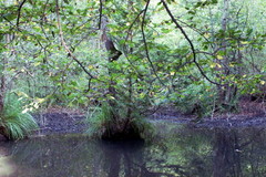 DSC00886b