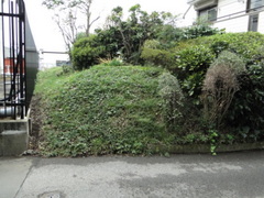 DSC01027