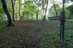 DSC00921b