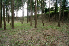 DSC01441