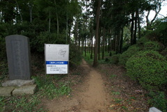 DSC04458