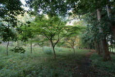 DSC00924b