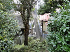 DSC01022
