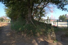 DSC01517