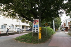 DSC01447