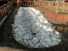 DSC01202