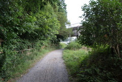 DSC04387