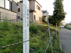DSC00874