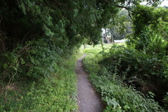 DSC04443