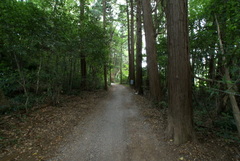 DSC04393