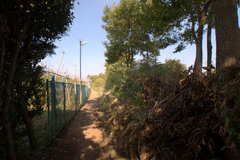 DSC01495