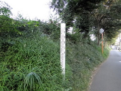 DSC00869