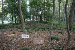 DSC00901b