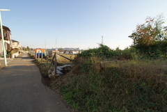 DSC04656