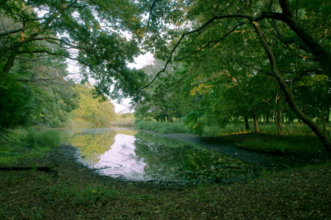 DSC00920b