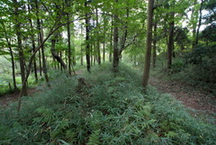 DSC04497