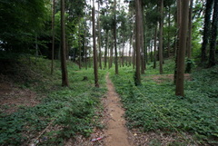 DSC04453