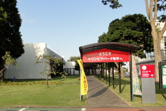 DSC00815