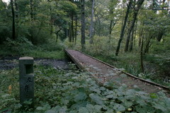 DSC00870b