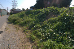 DSC01534