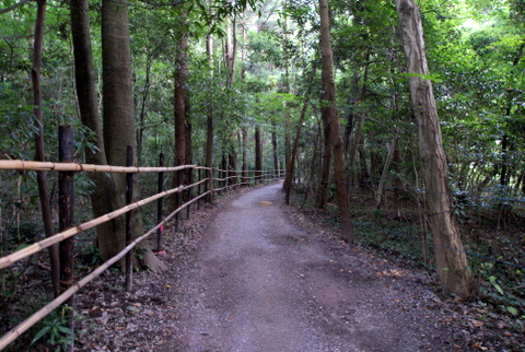 DSC04389