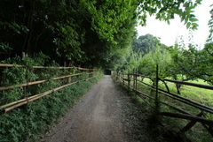 DSC04392