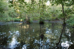 DSC00879b