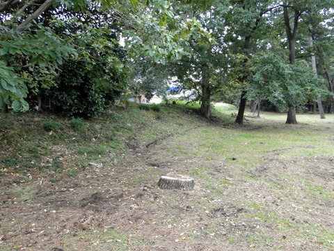 DSC01031