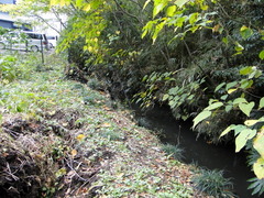 DSC01044