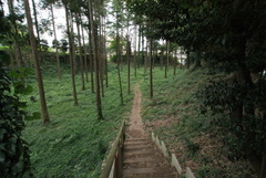 DSC04449
