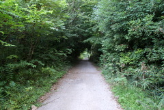 DSC04386
