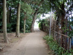 P8300008